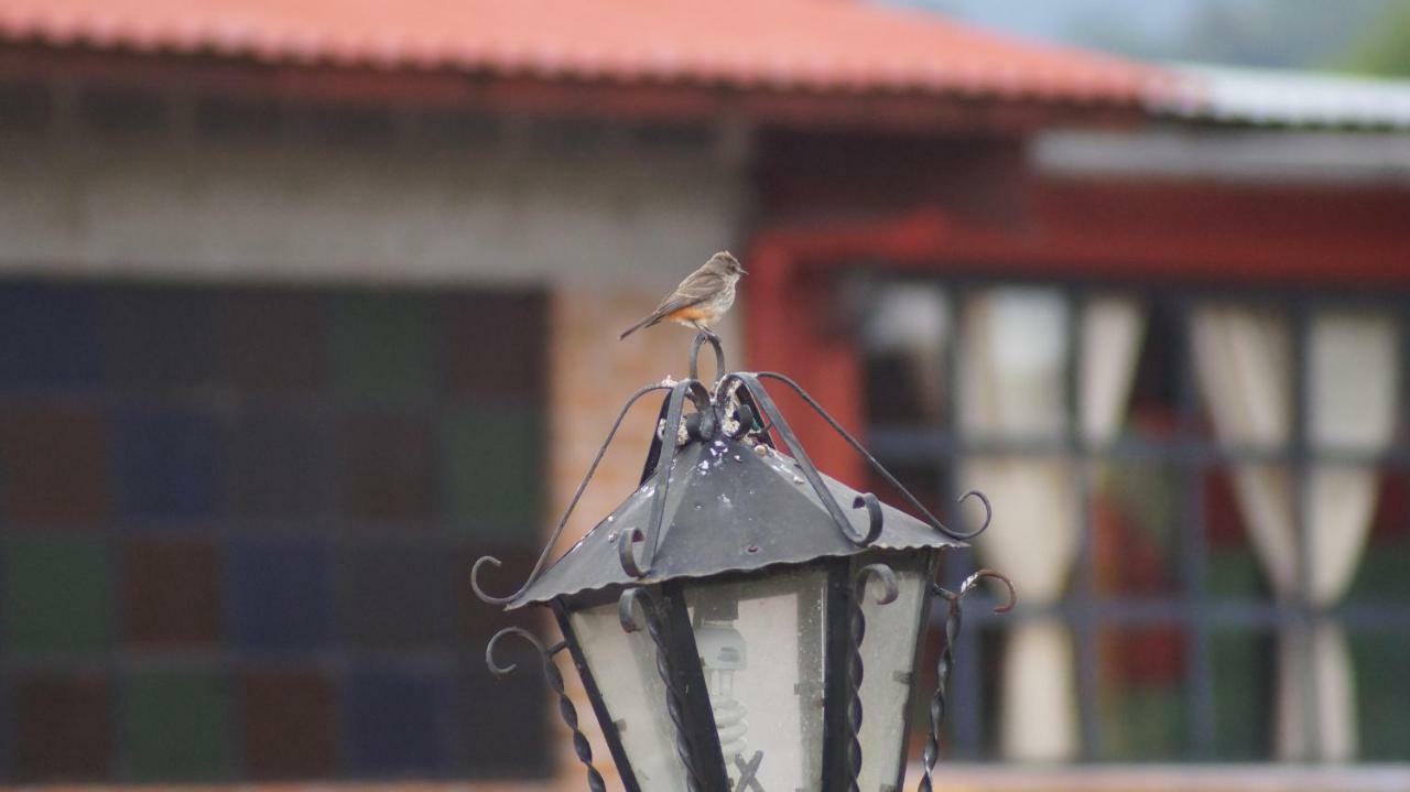 Rio Estigia Inn Tlalpujahua de Rayón エクステリア 写真